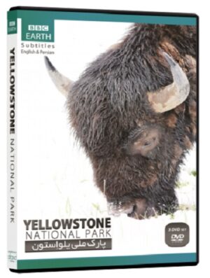 مستند پارک ملی یلو استون YELLOWSTONE